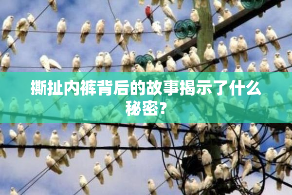 撕扯内裤背后的故事揭示了什么秘密？