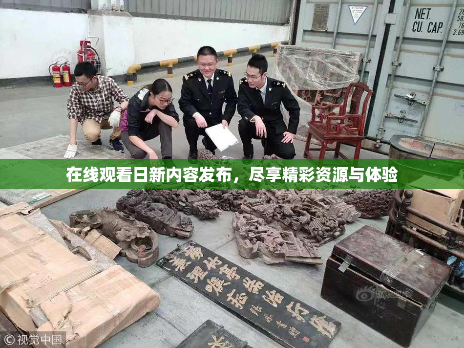 在线观看日新内容发布，尽享精彩资源与体验