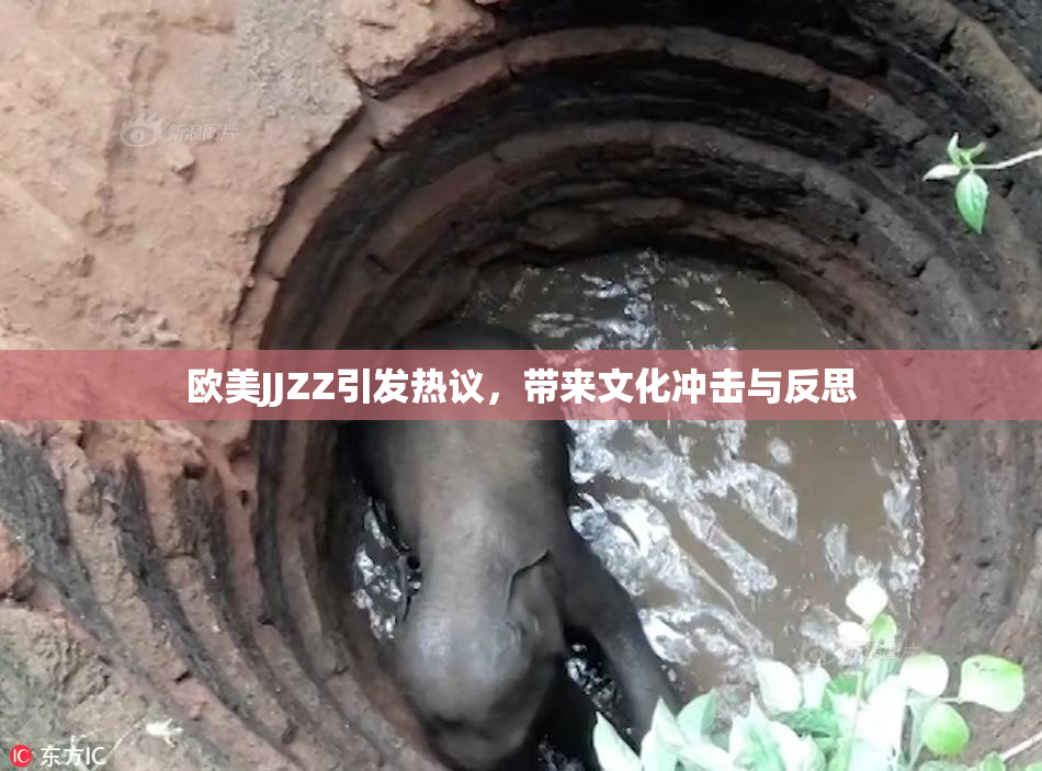 欧美JJZZ引发热议，带来文化冲击与反思