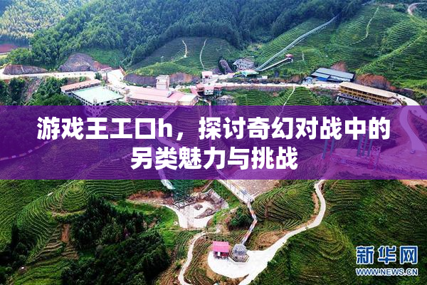 游戏王工口h，探讨奇幻对战中的另类魅力与挑战