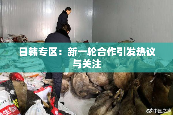 日韩专区：新一轮合作引发热议与关注