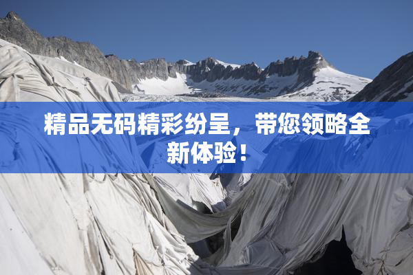 精品无码精彩纷呈，带您领略全新体验！