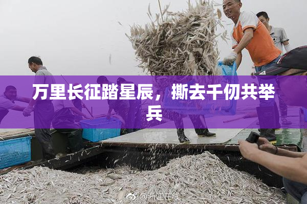 万里长征踏星辰，撕去千仞共举兵