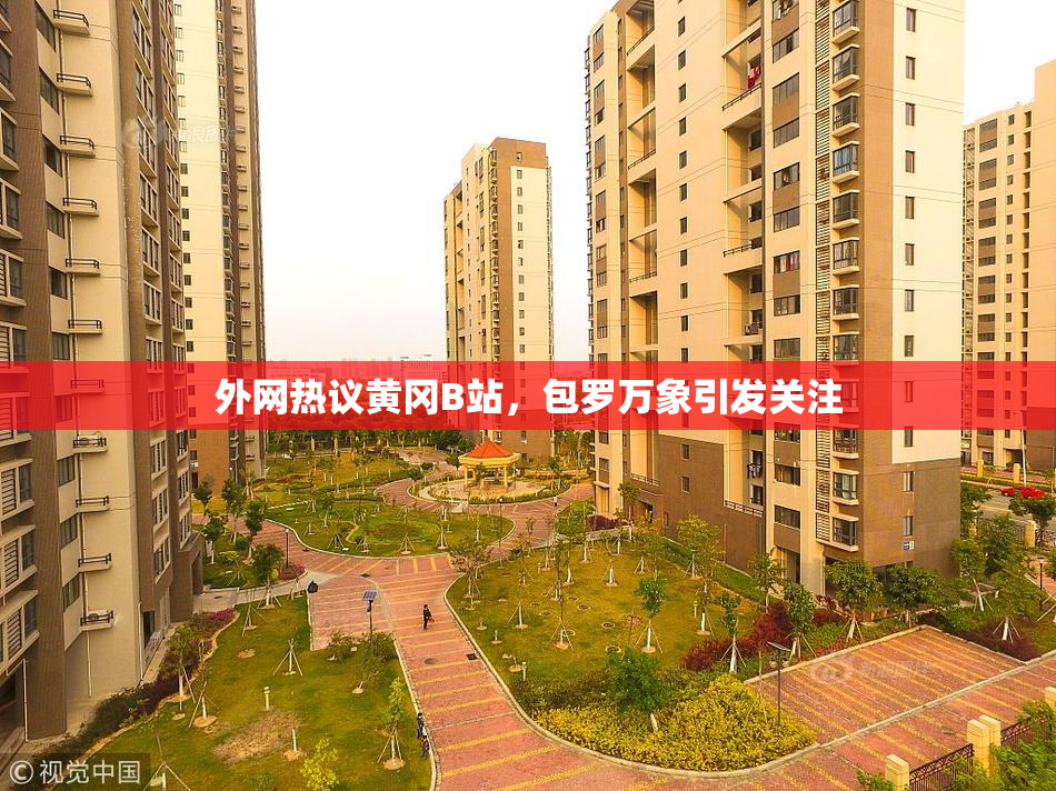 外网热议黄冈B站，包罗万象引发关注