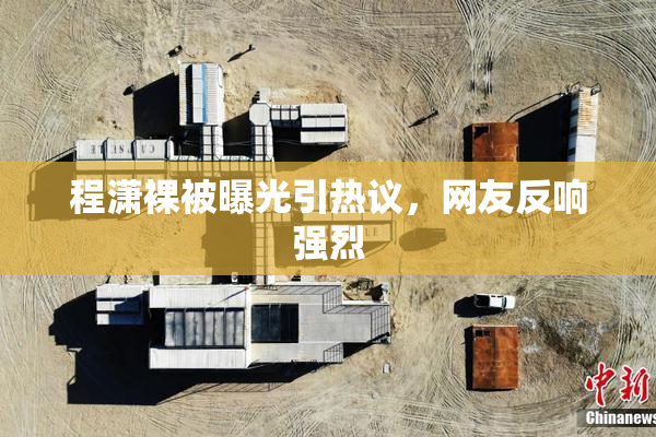 程潇裸被曝光引热议，网友反响强烈