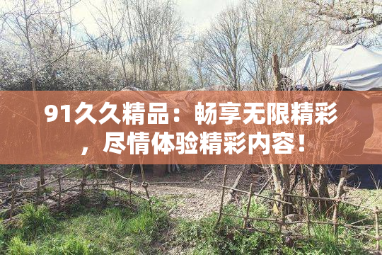 91久久精品：畅享无限精彩，尽情体验精彩内容！