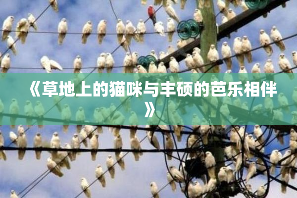 《草地上的猫咪与丰硕的芭乐相伴》