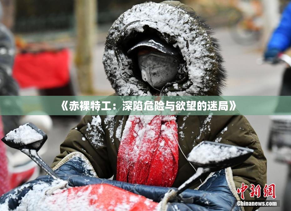 《赤裸特工：深陷危险与欲望的迷局》