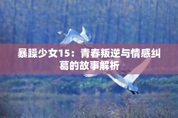 暴躁少女15：青春叛逆与情感纠葛的故事解析