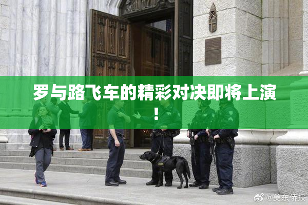 罗与路飞车的精彩对决即将上演！