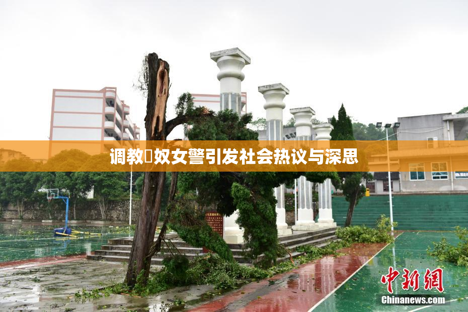 调教婬奴女警引发社会热议与深思