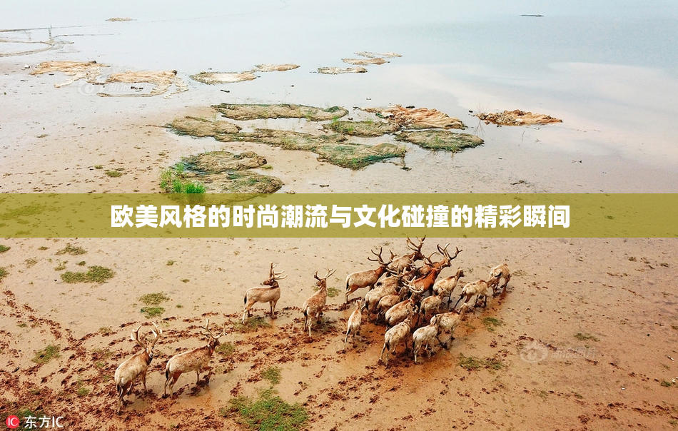 欧美风格的时尚潮流与文化碰撞的精彩瞬间