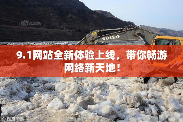9.1网站全新体验上线，带你畅游网络新天地！