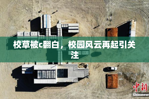 校草被c翻白，校园风云再起引关注