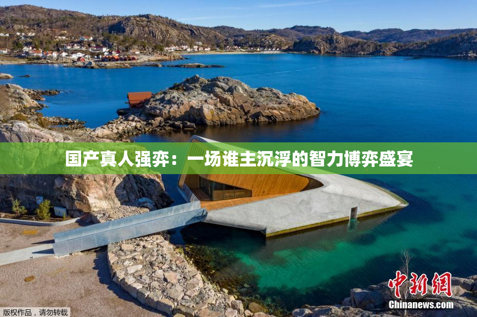 国产真人强弈：一场谁主沉浮的智力博弈盛宴