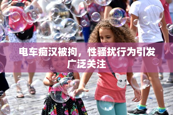 电车痴汉被拘，性骚扰行为引发广泛关注