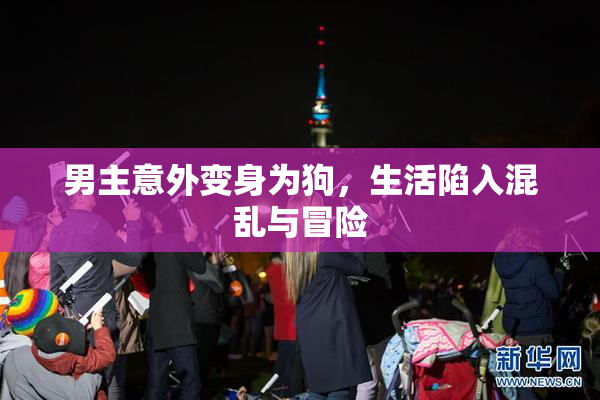 男主意外变身为狗，生活陷入混乱与冒险
