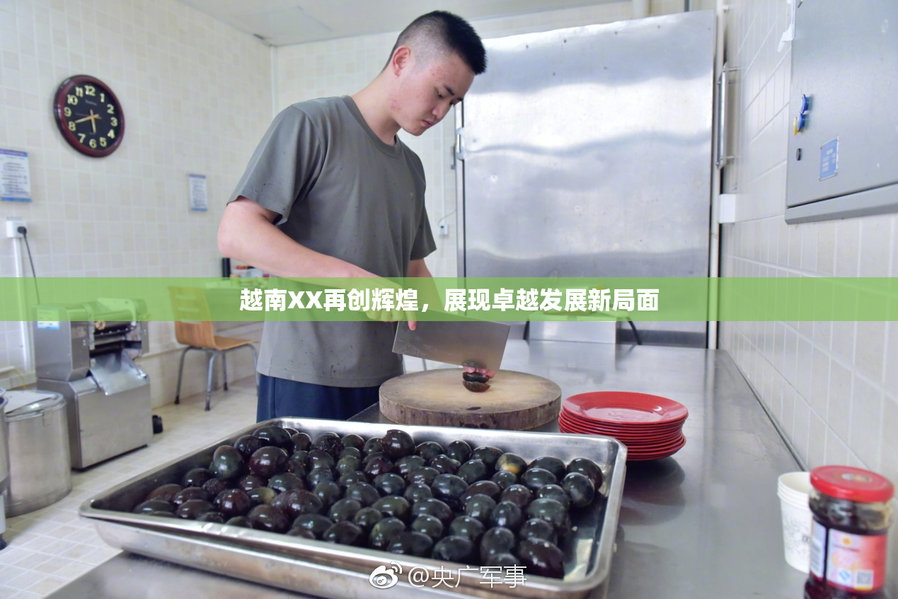 越南XX再创辉煌，展现卓越发展新局面