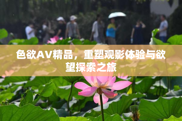 色欲AV精品，重塑观影体验与欲望探索之旅
