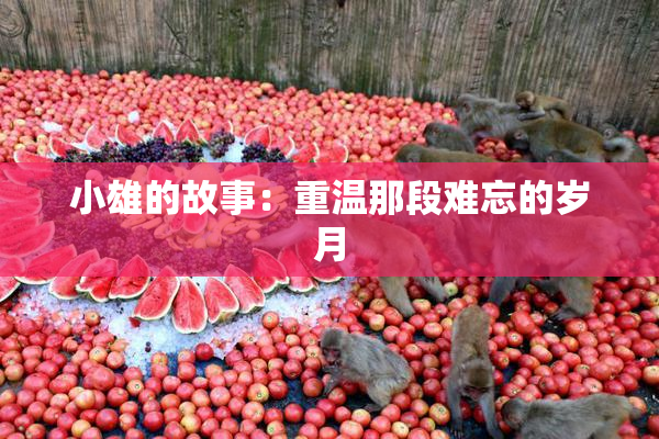 小雄的故事：重温那段难忘的岁月