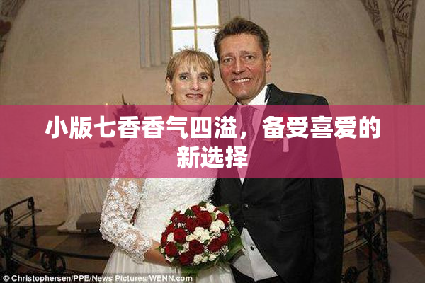 小版七香香气四溢，备受喜爱的新选择