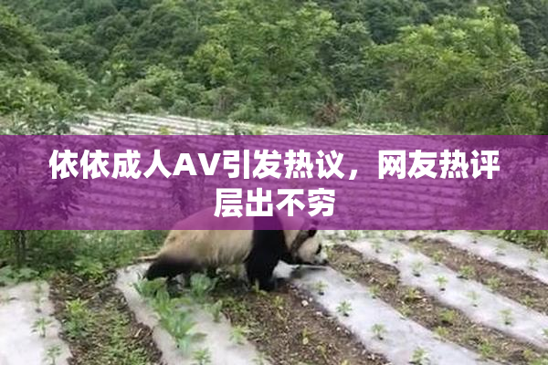 依依成人AV引发热议，网友热评层出不穷