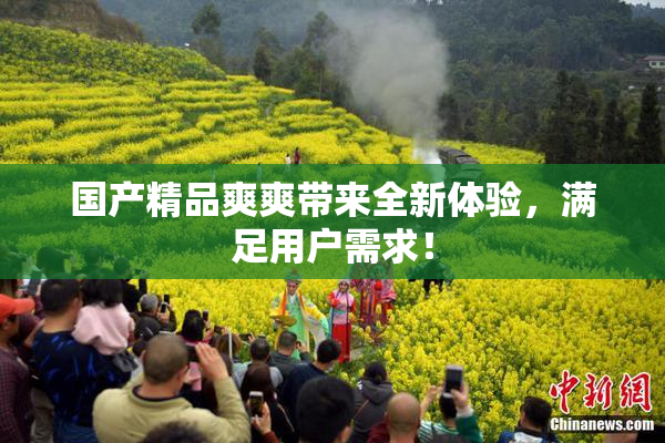 国产精品爽爽带来全新体验，满足用户需求！