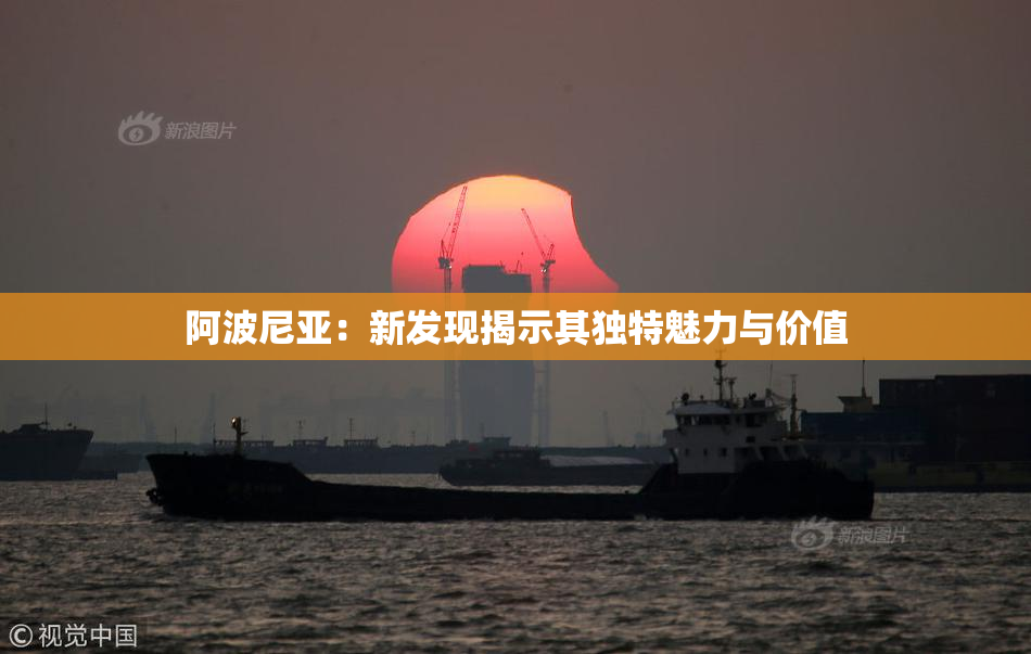 阿波尼亚：新发现揭示其独特魅力与价值