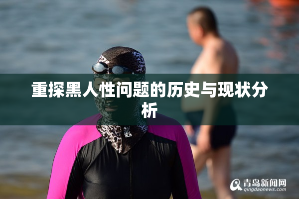 重探黑人性问题的历史与现状分析