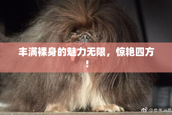 丰满裸身的魅力无限，惊艳四方！