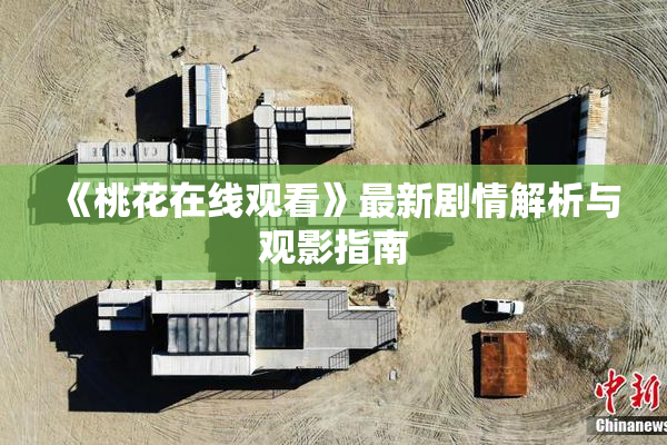《桃花在线观看》最新剧情解析与观影指南