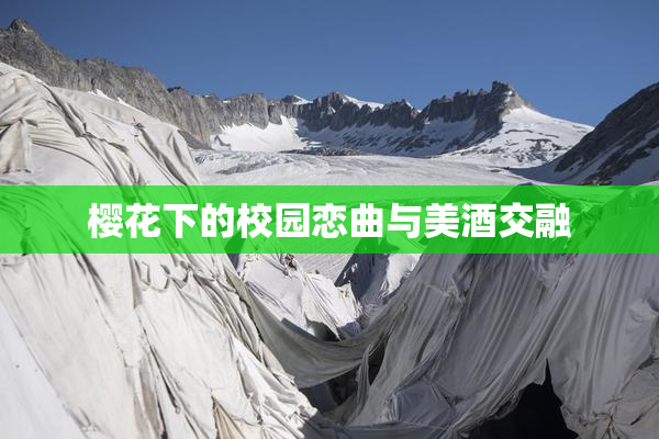 樱花下的校园恋曲与美酒交融