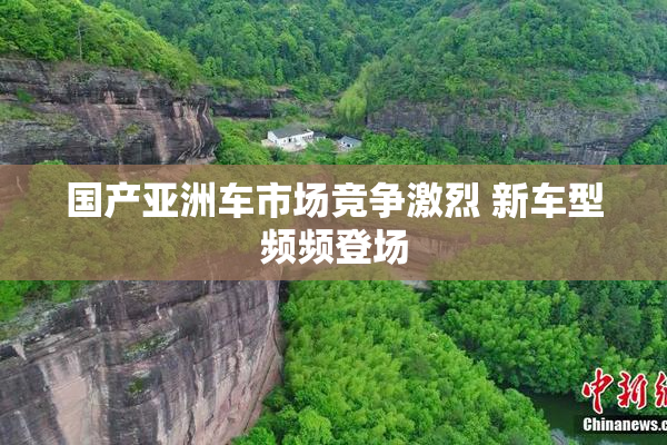 国产亚洲车市场竞争激烈 新车型频频登场