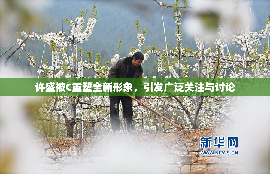 许盛被C重塑全新形象，引发广泛关注与讨论