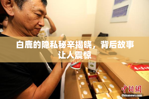 白鹿的隐私秘辛揭晓，背后故事让人震惊