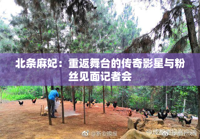 北条麻妃：重返舞台的传奇影星与粉丝见面记者会