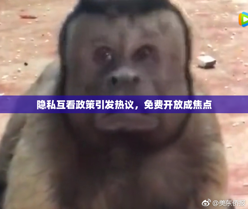 隐私互看政策引发热议，免费开放成焦点