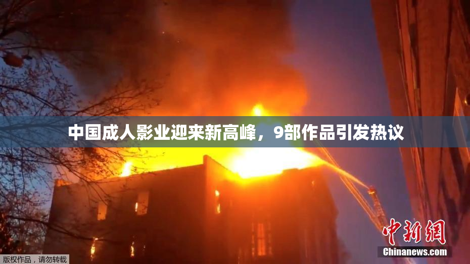 中国成人影业迎来新高峰，9部作品引发热议
