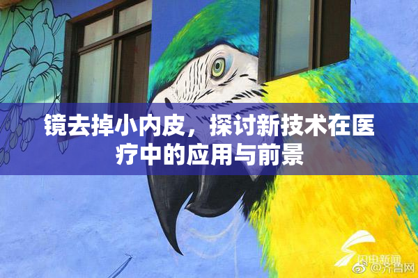 镜去掉小内皮，探讨新技术在医疗中的应用与前景