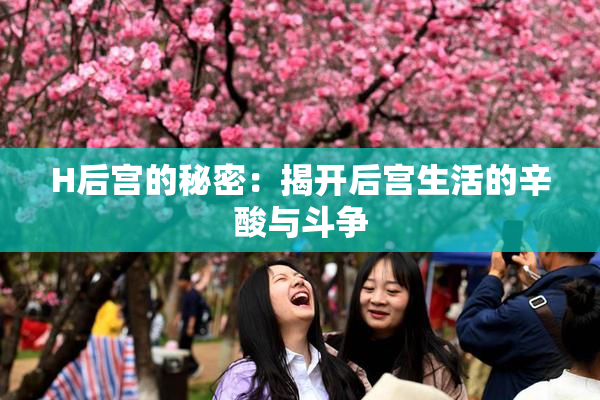 H后宫的秘密：揭开后宫生活的辛酸与斗争