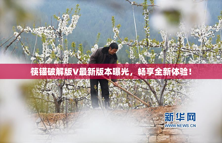 筷锚破解版V最新版本曝光，畅享全新体验！