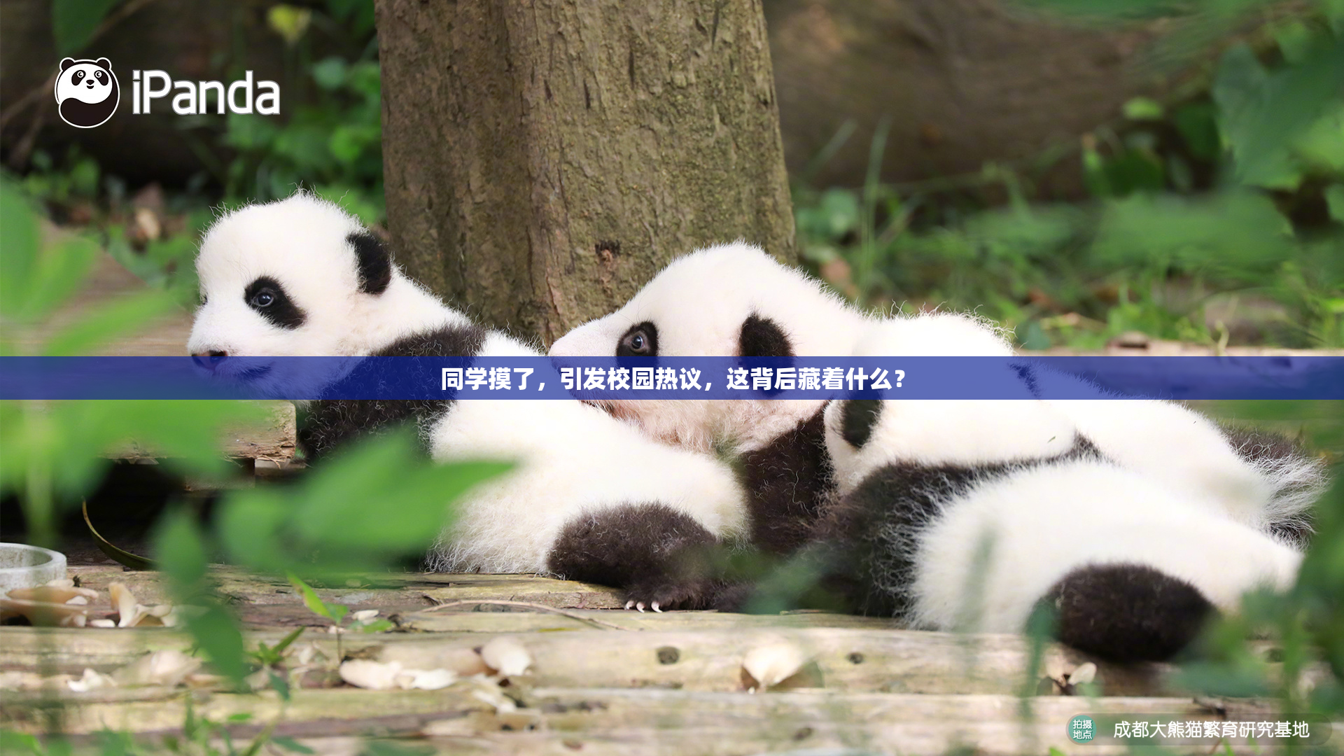 同学摸了，引发校园热议，这背后藏着什么？