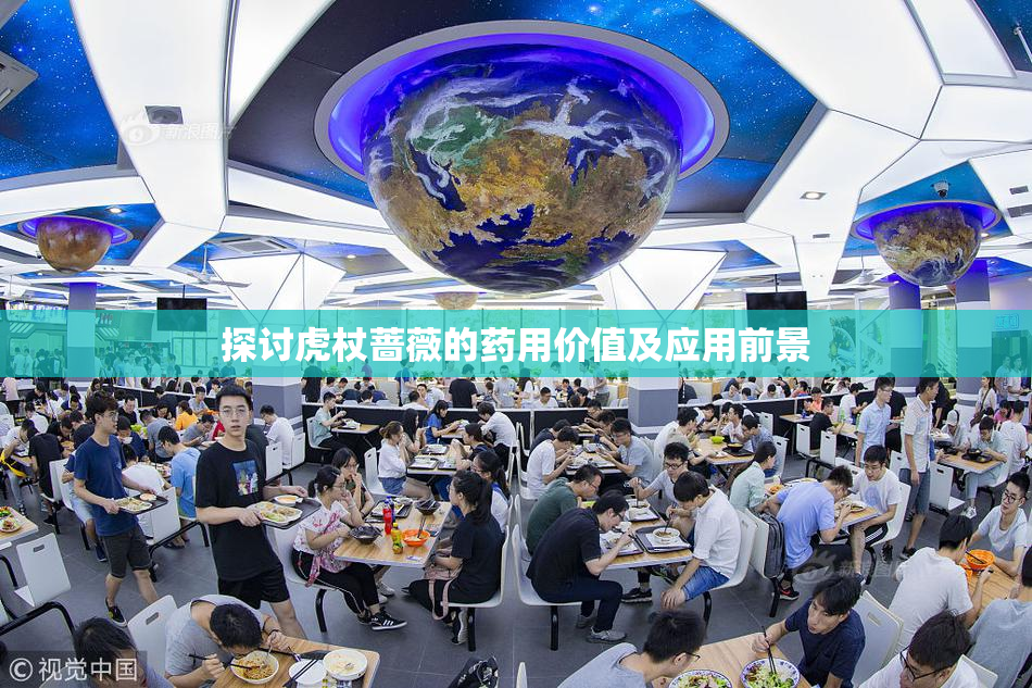 探讨虎杖蔷薇的药用价值及应用前景