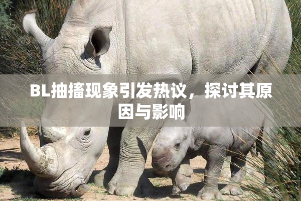 BL抽搐现象引发热议，探讨其原因与影响
