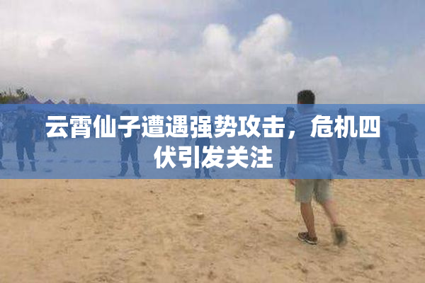 云霄仙子遭遇强势攻击，危机四伏引发关注