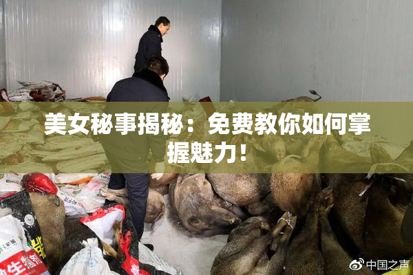 美女秘事揭秘：免费教你如何掌握魅力！
