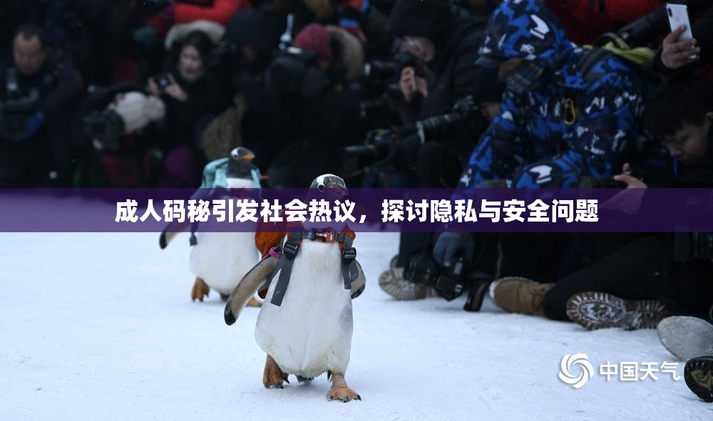 成人码秘引发社会热议，探讨隐私与安全问题