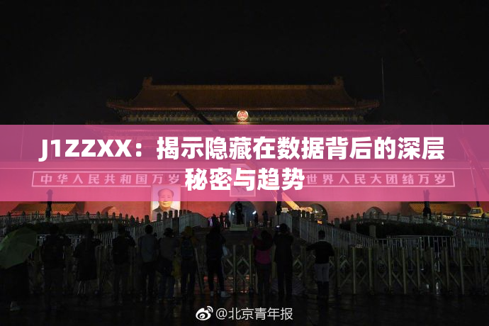 J1ZZXX：揭示隐藏在数据背后的深层秘密与趋势