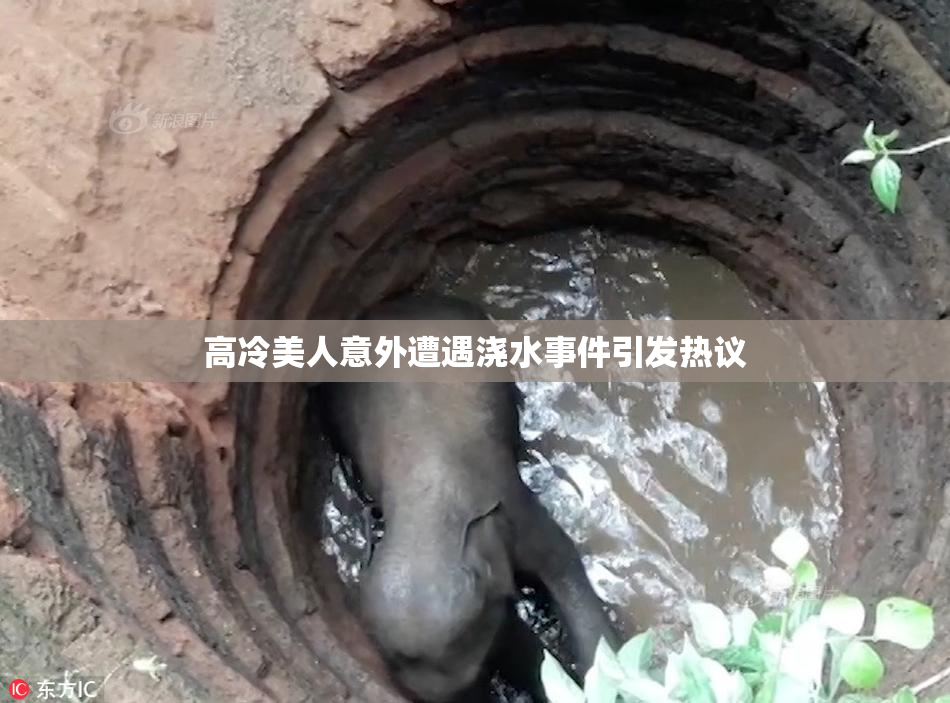 高冷美人意外遭遇浇水事件引发热议