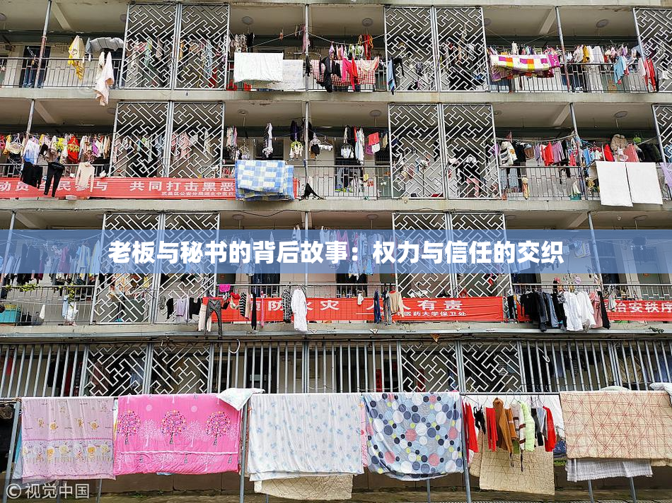 老板与秘书的背后故事：权力与信任的交织